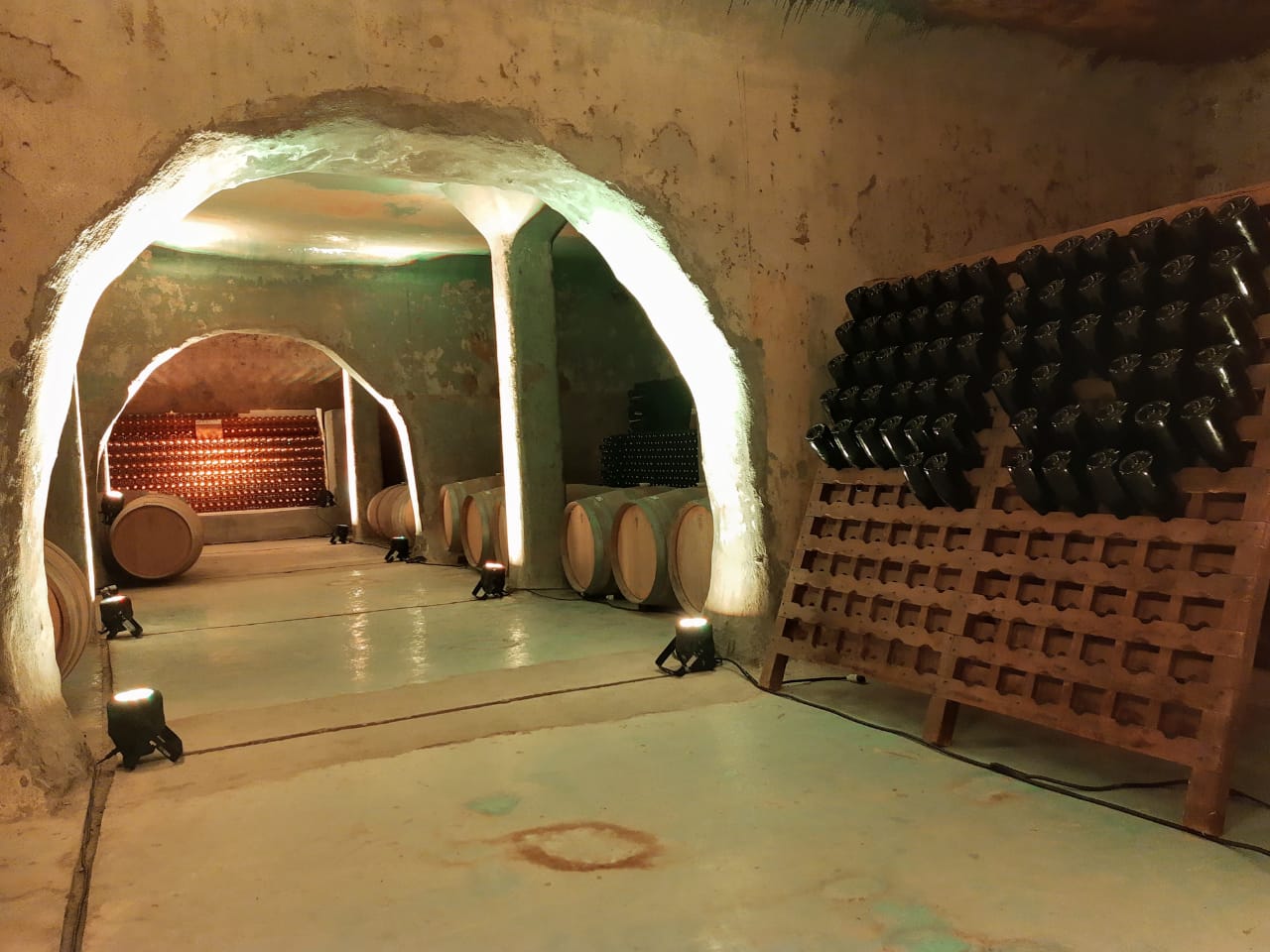 Bodega Cavas Del Artesano Mendoza Turismo