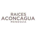 Hotel Raíces Aconcagua