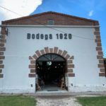 Bodega 1920