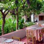 El Patio de Babushka