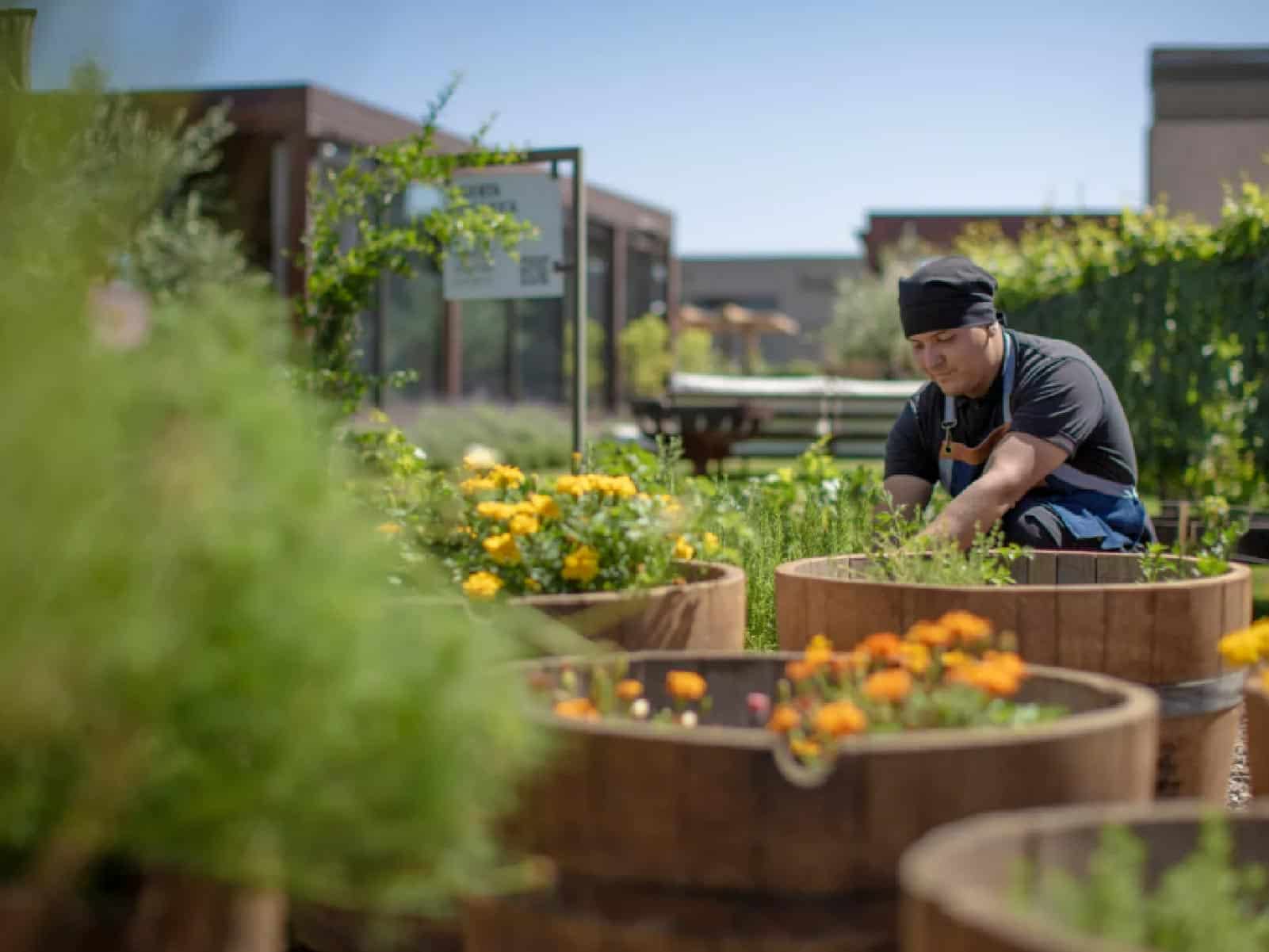 Paisajes con Sabor a Mendoza huerta