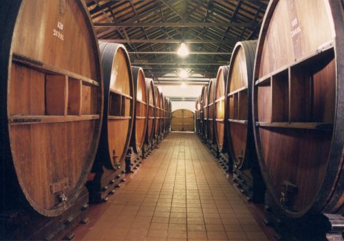 Bodegas-Pasillo-de-Toneles