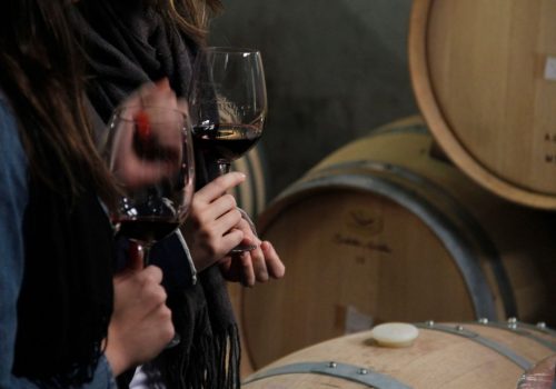 Degustacion en Bodega