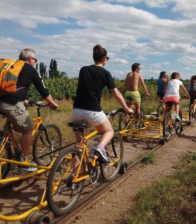 Google Mendoza Experiencias