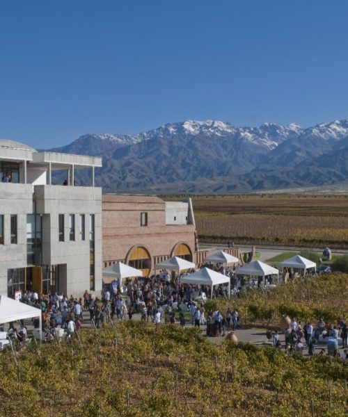 PHOTO-2021-07-06-13-15-41