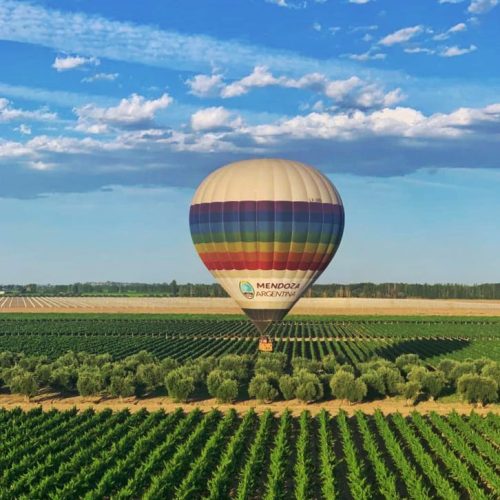 PHOTO-2022-01-11-12-08-43