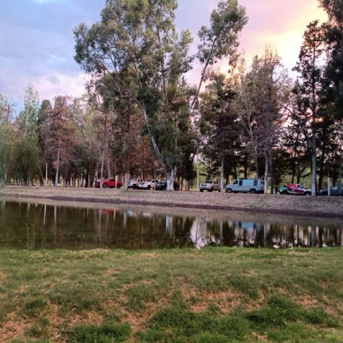 Pinar de Junin Mendoza