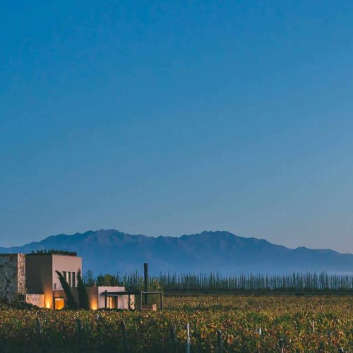 Rosell Boher Mendoza