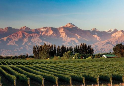 Valle-de-Uco-